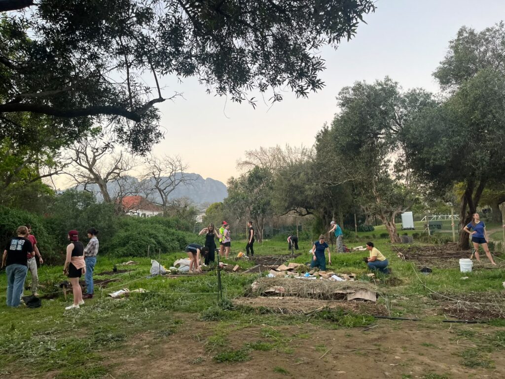 EcoMaties Student Gardening Club