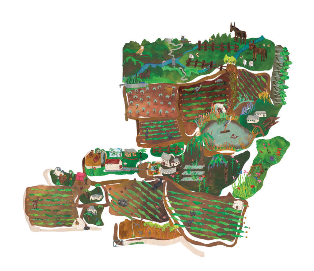 The Kleinood Way Farm Experience